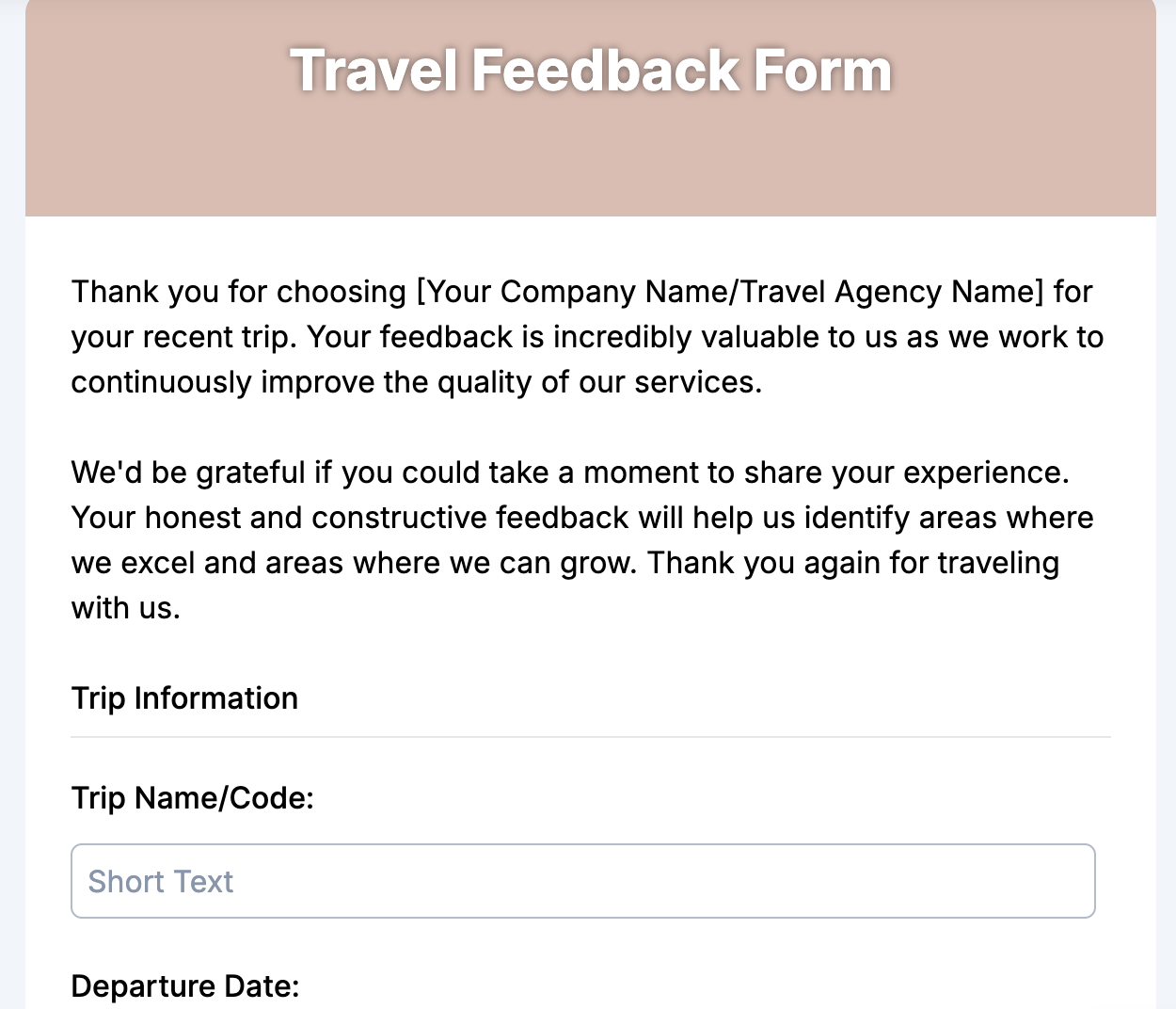 Travel Feedback Form Preview
