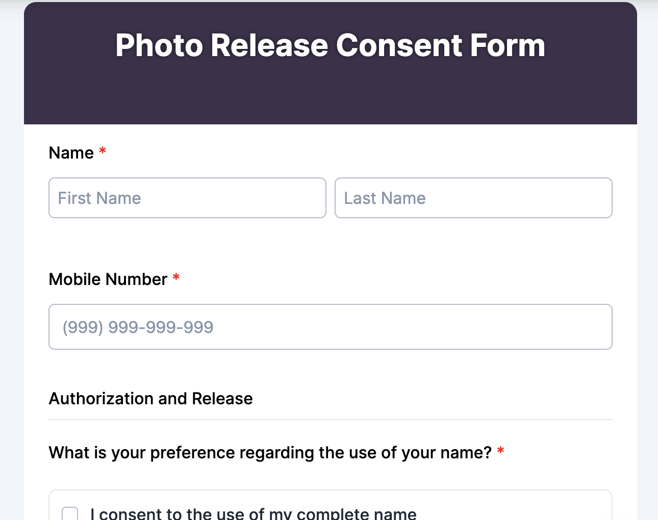 Photo Release Consent Form Preview